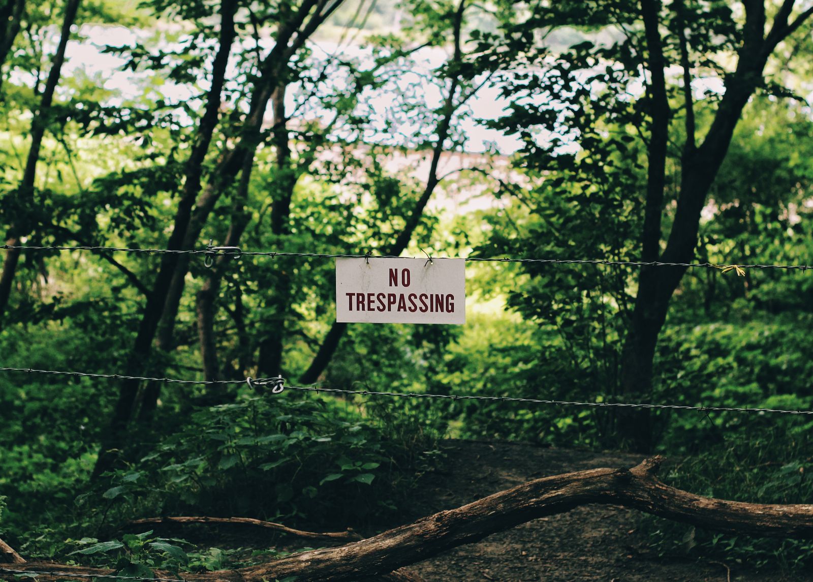 No Trespassing sign posted on a fence at the edge of wooded property
